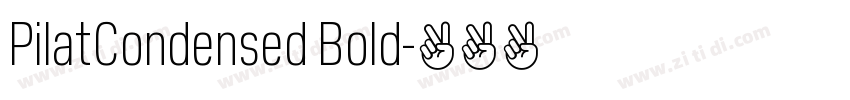 PilatCondensed Bold字体转换